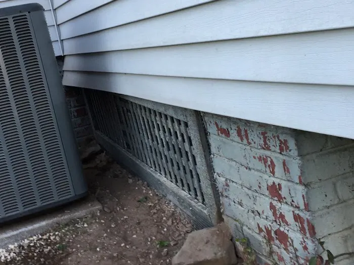 Fischer Wildlife Control & Repairs - Attic Clean Out Picture 1