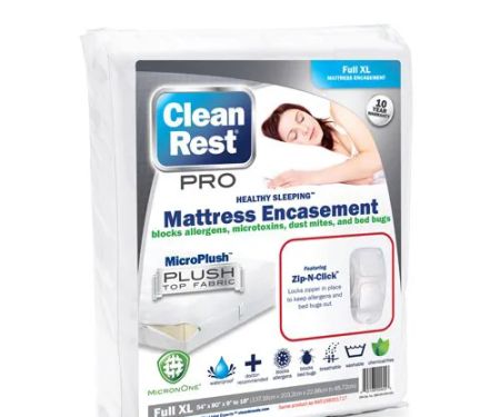 Bed Bug Plug
