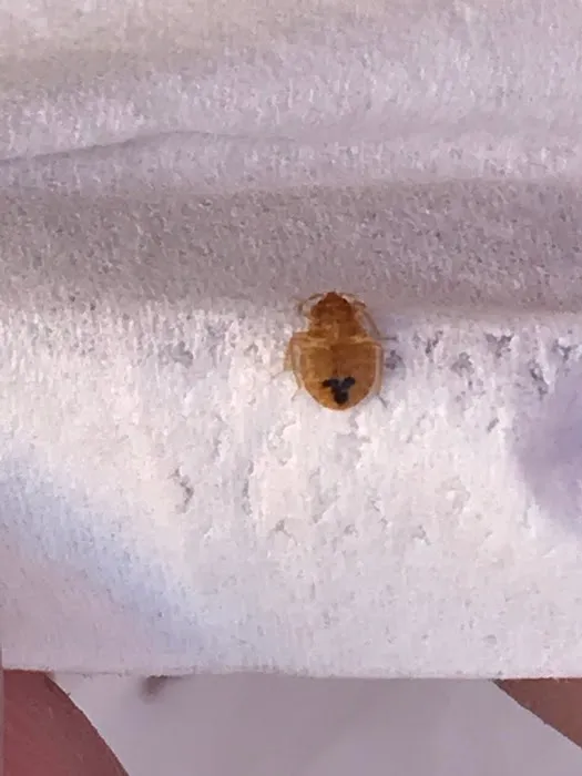 Time's up termite specialist bucks county Picture 1