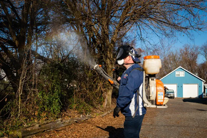 Expert Pest Control, Inc. Picture 5