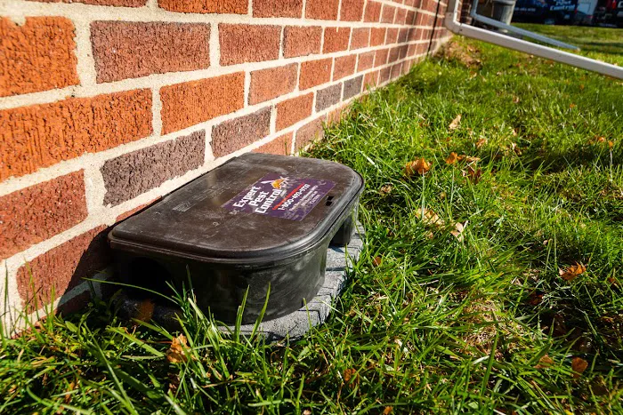 Expert Pest Control, Inc. Picture 8