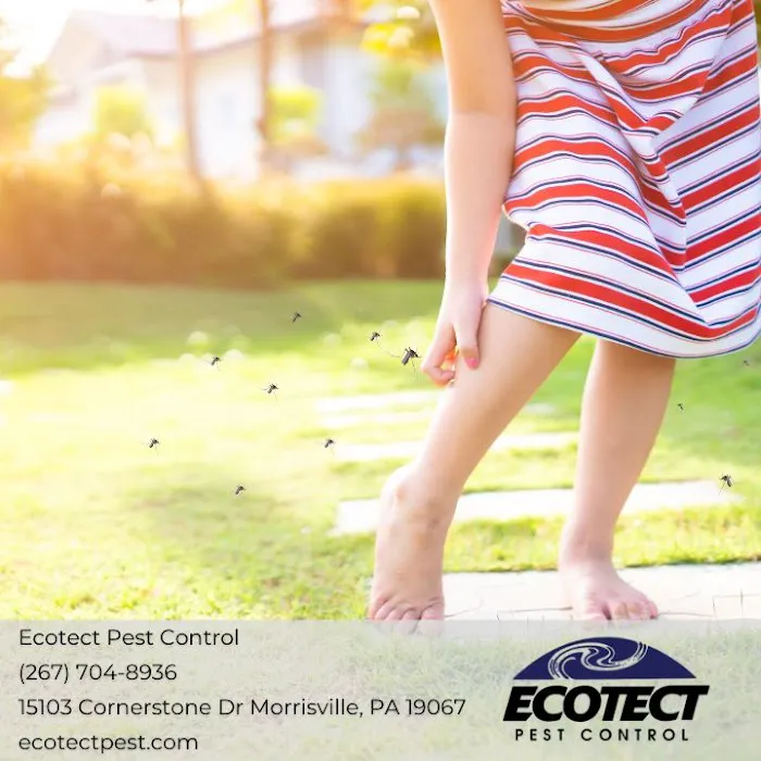Ecotect Pest Elimination Inc Picture 5