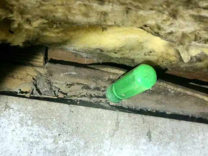 Ecotect Pest Elimination Inc Picture 3