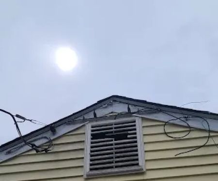 Ecotect Pest Elimination Inc