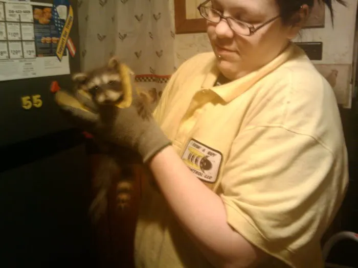 I Know A Guy Pest Control service Picture 1