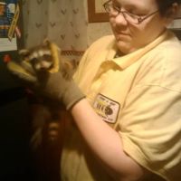 I Know A Guy Pest Control service ico