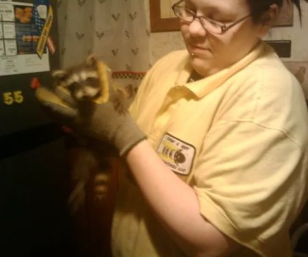 I Know A Guy Pest Control service