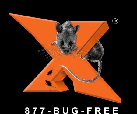 Expel Exterminating Experts