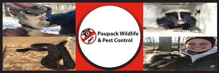 Paupack Wildlife Control Picture 1