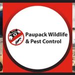 Paupack Wildlife Control