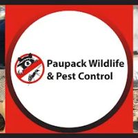 Paupack Wildlife Control ico