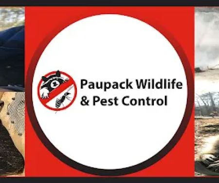 Paupack Wildlife Control