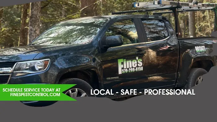 Fine's Pest Control Picture 1