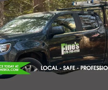 Fine's Pest Control