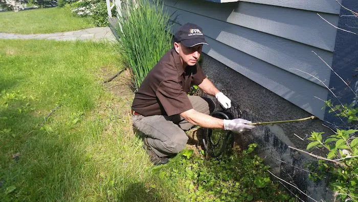 Fleck Pest Management Picture 3