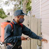Fox Pest Control ico