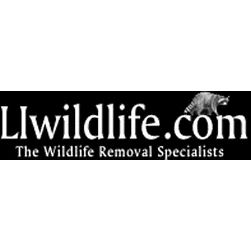 Advanced Nuisance Wildlife Control Services Picture 4