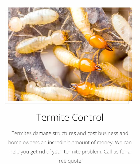 Regal Exterminators Picture 2