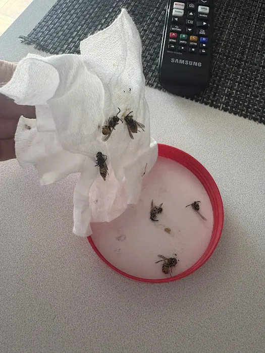 Suburban Exterminating Picture 7