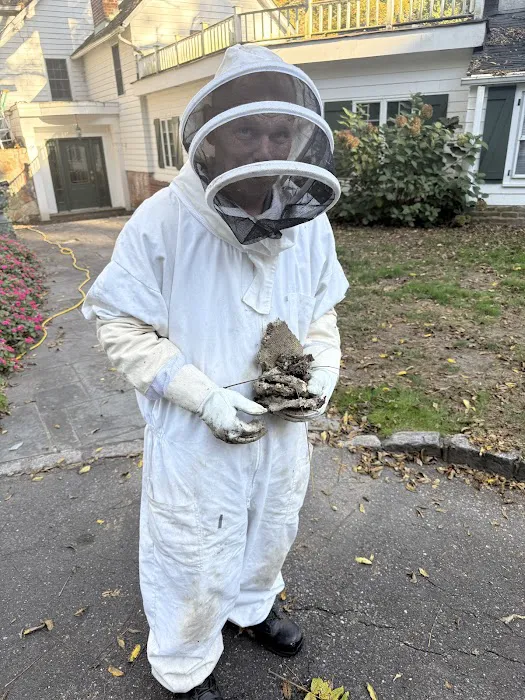 Suburban Exterminating Picture 4