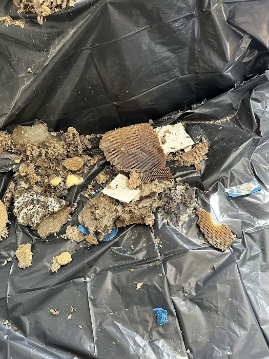 Pestify Pest Control Picture 6