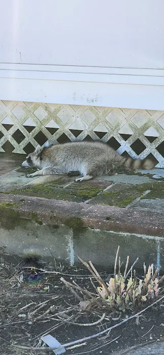 Pestify Pest Control Picture 1