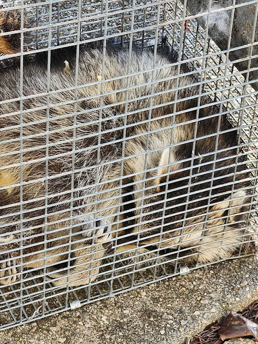 Pestify Pest Control Picture 8