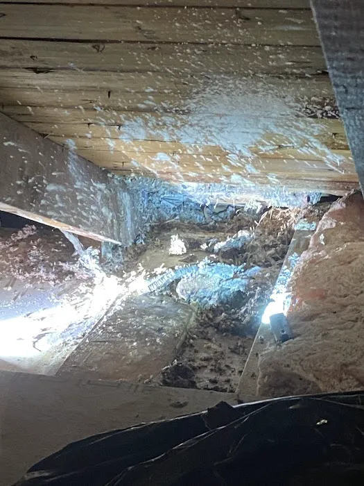 Pestify Pest Control Picture 3