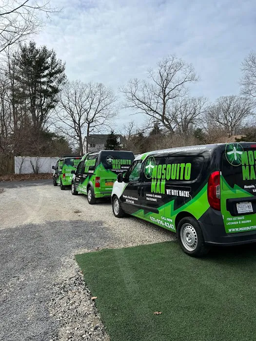 Mosquito Man Picture 5