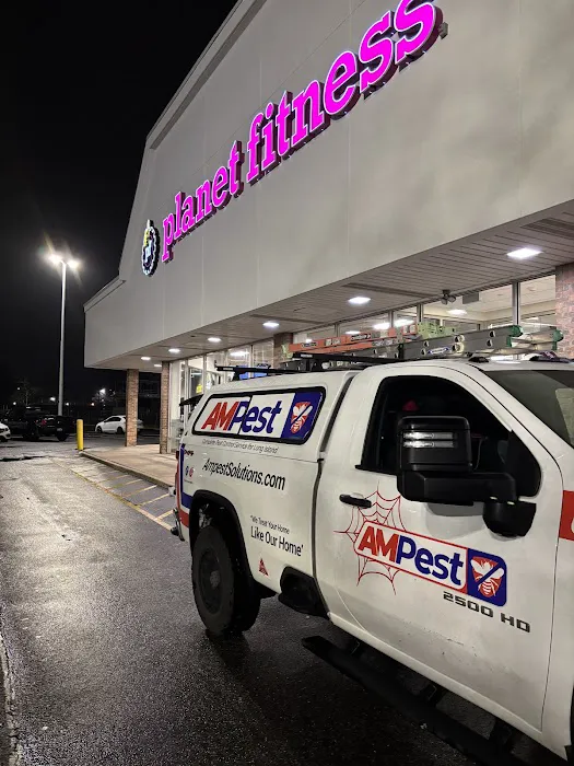 Am Pest Solutions Picture 9