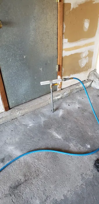 Am Pest Solutions Picture 2