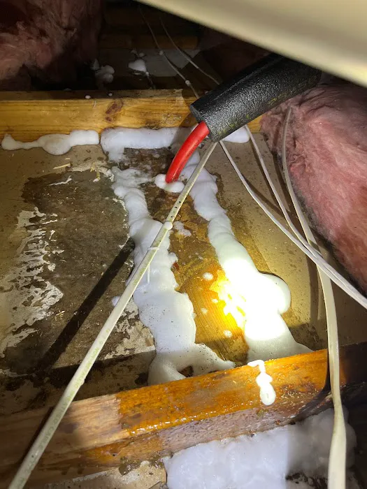 Am Pest Solutions Picture 10