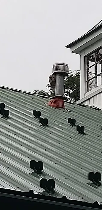 Am Pest Solutions Picture 1