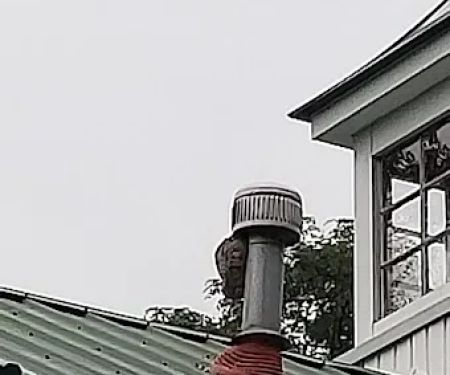 Am Pest Solutions