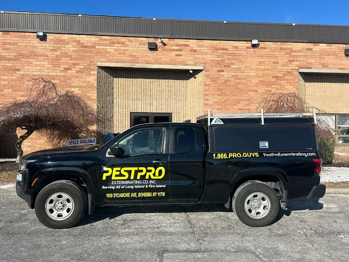 Pest Pro Exterminating Picture 2