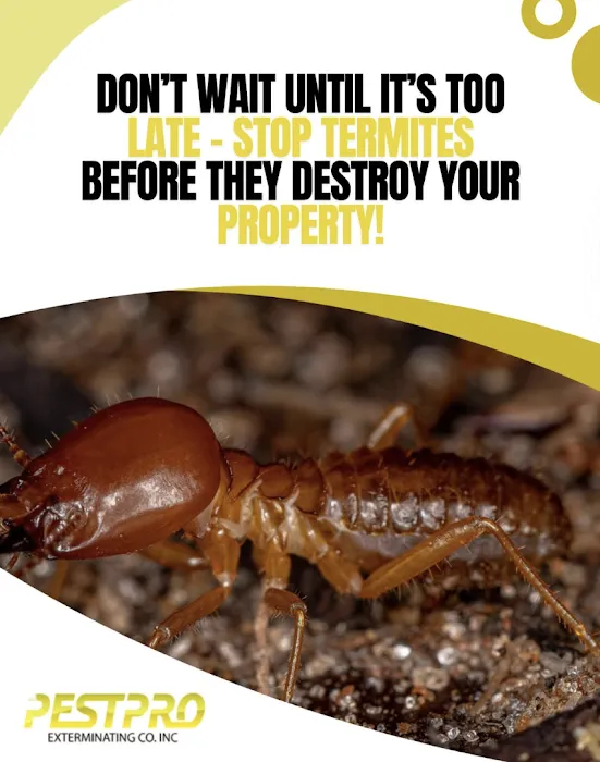 Pest Pro Exterminating Picture 10