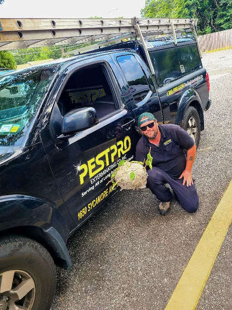 Pest Pro Exterminating Picture 7