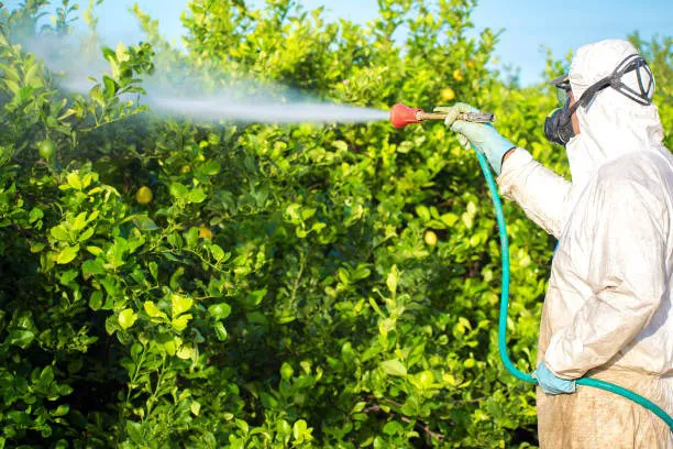 Pest Pro Exterminating Picture 9