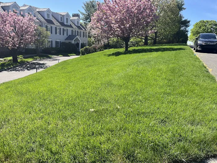 Turning Green,LLC Plant & Lawn Health Care Picture 2