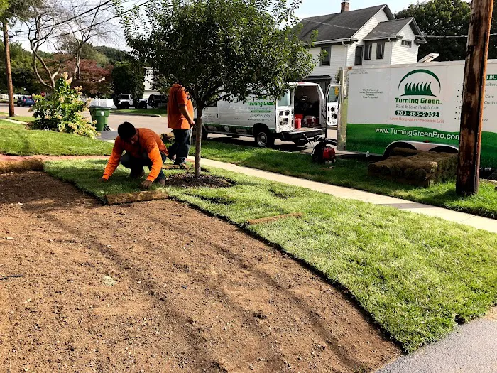 Turning Green,LLC Plant & Lawn Health Care Picture 1