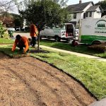 Turning Green,LLC Plant & Lawn Health Care