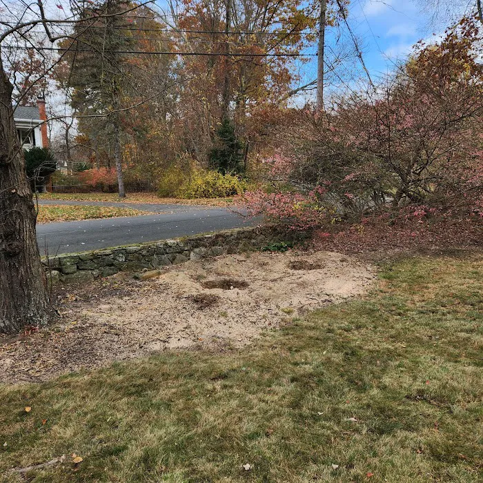 Turning Green,LLC Plant & Lawn Health Care Picture 7