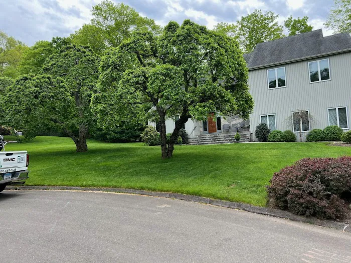 Turning Green,LLC Plant & Lawn Health Care Picture 4