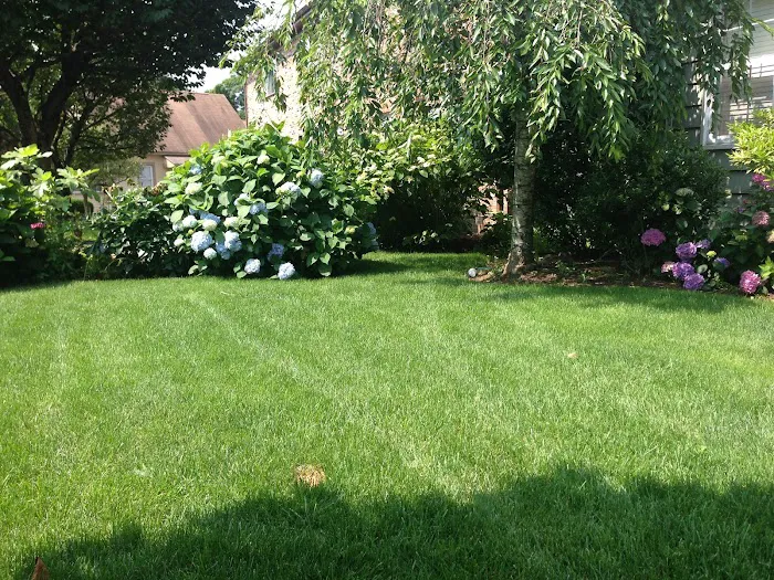Turning Green,LLC Plant & Lawn Health Care Picture 9