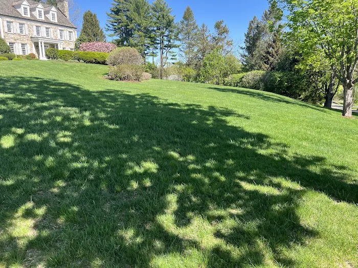 Turning Green,LLC Plant & Lawn Health Care Picture 8
