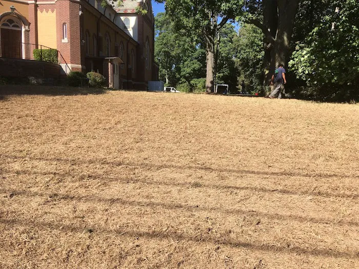 Turning Green,LLC Plant & Lawn Health Care Picture 6