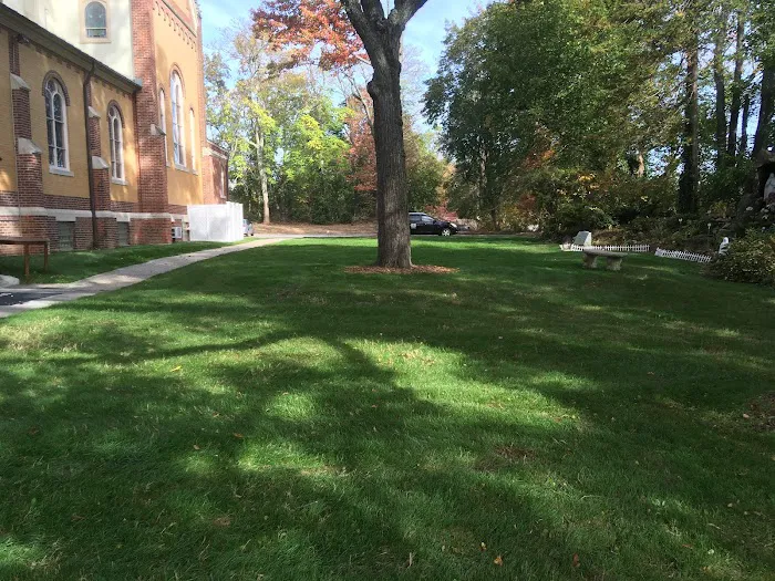 Turning Green,LLC Plant & Lawn Health Care Picture 5