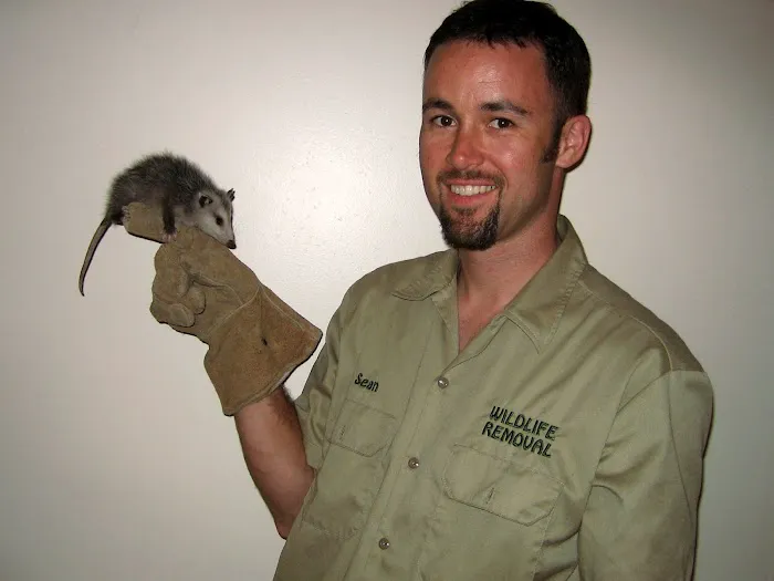 Pest Animal Removal Fairfield County Picture 1
