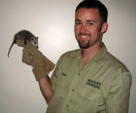 Pest Animal Removal Fairfield County