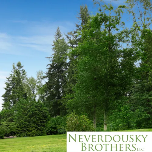 Neverdousky Brothers Tick Control LLC Picture 4